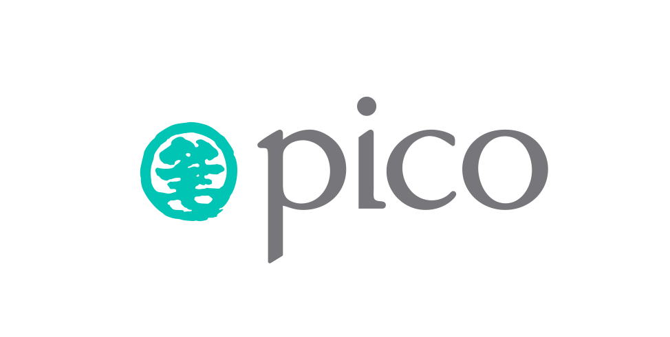 Pico logo horizontal 3265c HD
